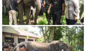 CvW8ziLyrK7Yb2ZUJUMZ6eGlQ8jqPMA50k2QVsWa