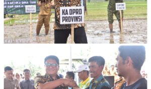 VJGFjy2qEmL2zYL1PPfUAuMUHRAO1lTypwPGoTsT